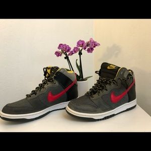 Nike Dunks 2011